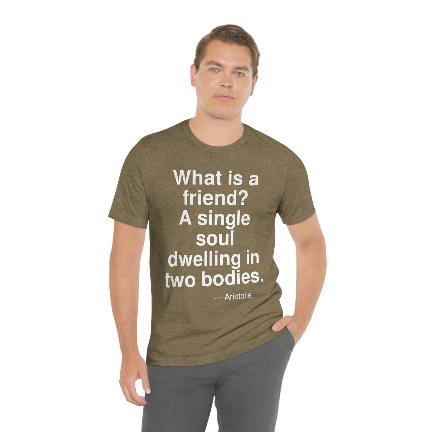 Aristotle Friend Aa adult t-shirt