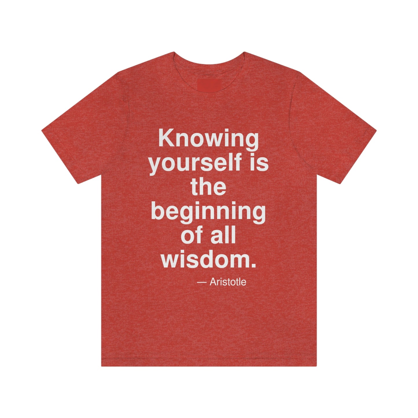 Aristotle Knowing Aa adult t-shirt