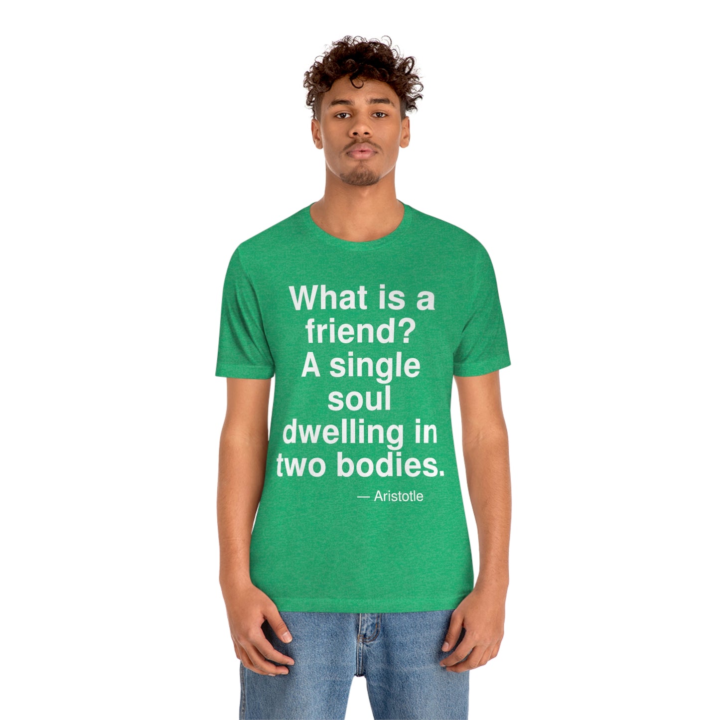 Aristotle Friend Aa adult t-shirt