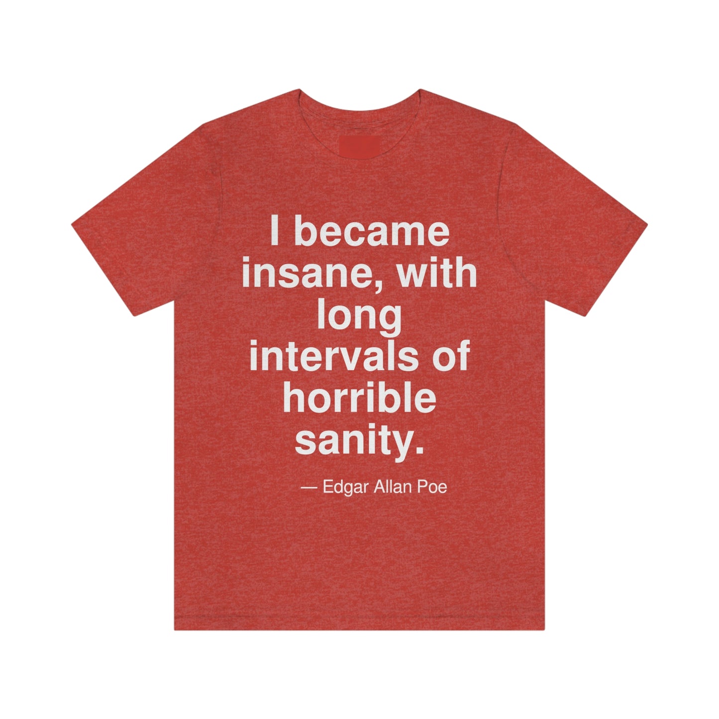 Poe Insane Aa adult t-shirt