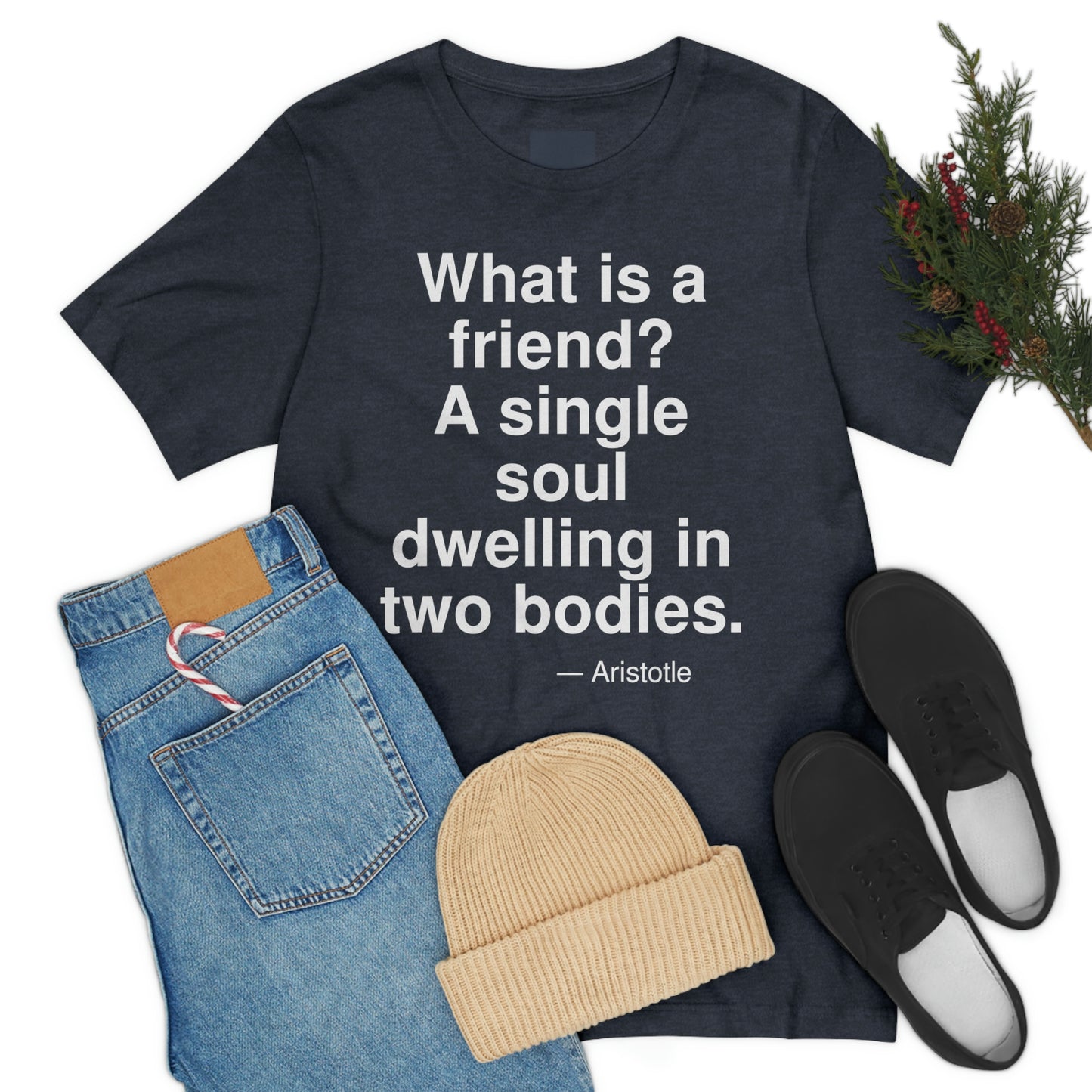 Aristotle Friend Aa adult t-shirt