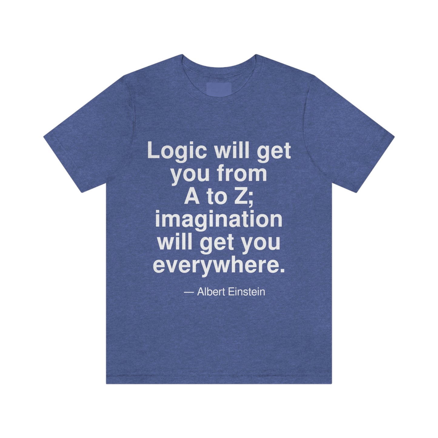 Einstein Logic Aa adult t-shirt