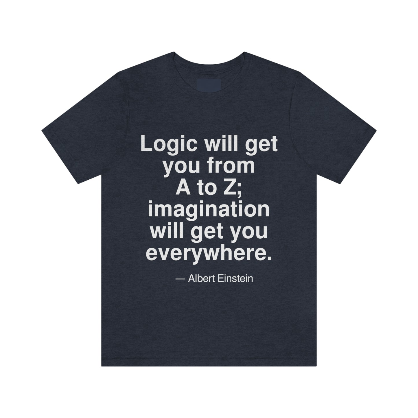 Einstein Logic Aa adult t-shirt