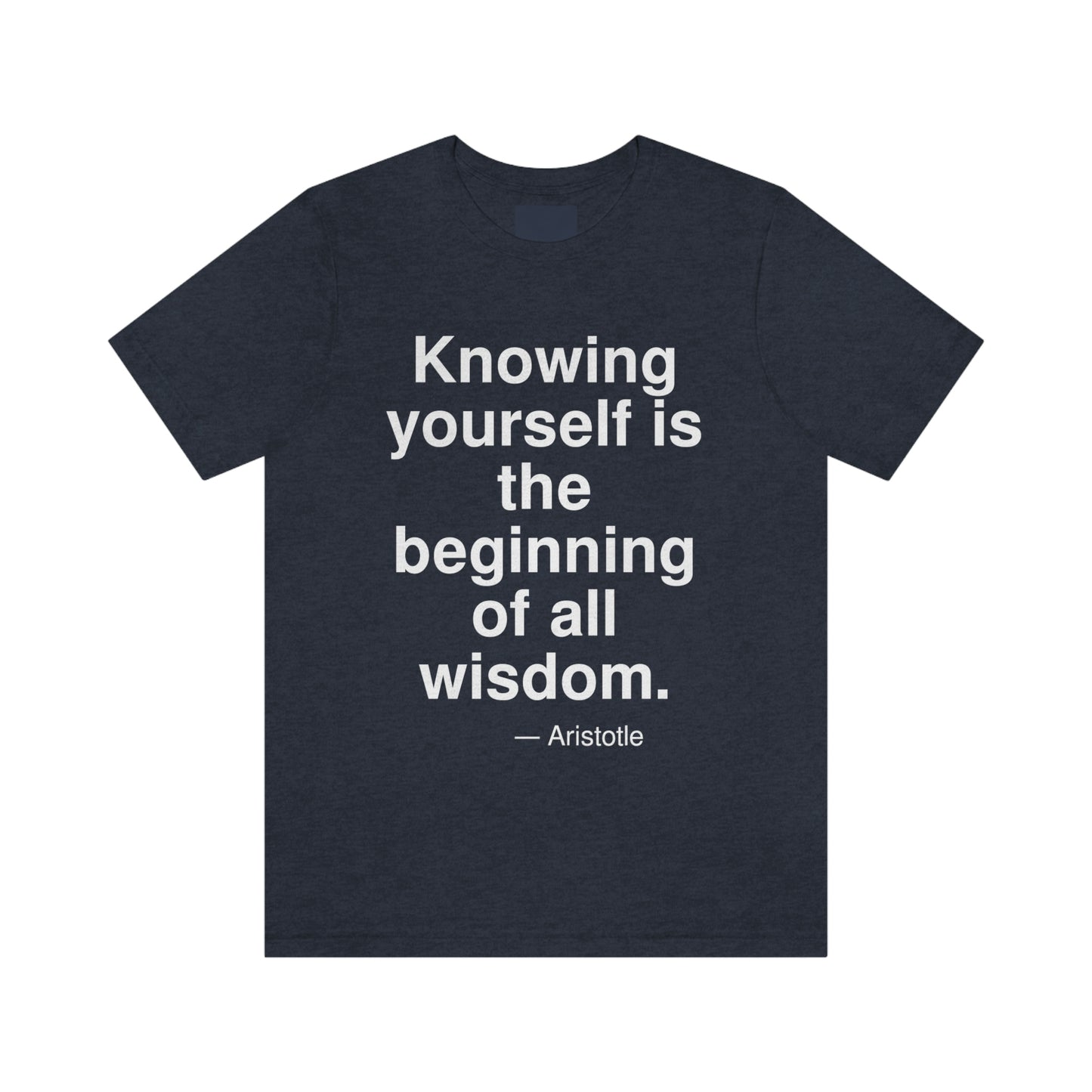 Aristotle Knowing Aa adult t-shirt