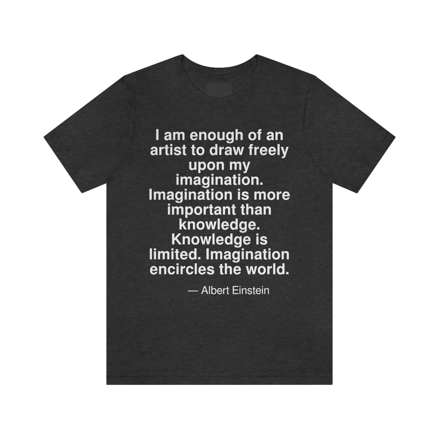 Einstein Imagination Aa adult t-shirt