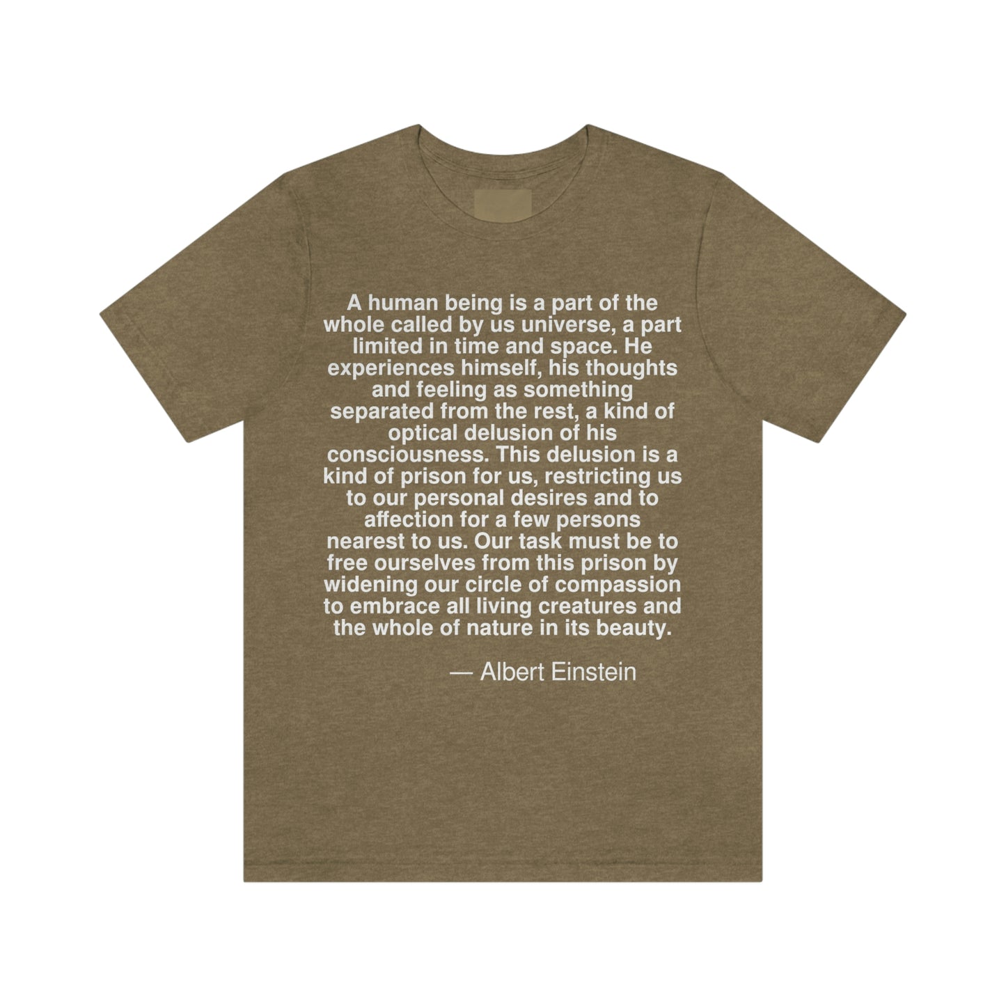 Einstein Delusion Aa adult t-shirt