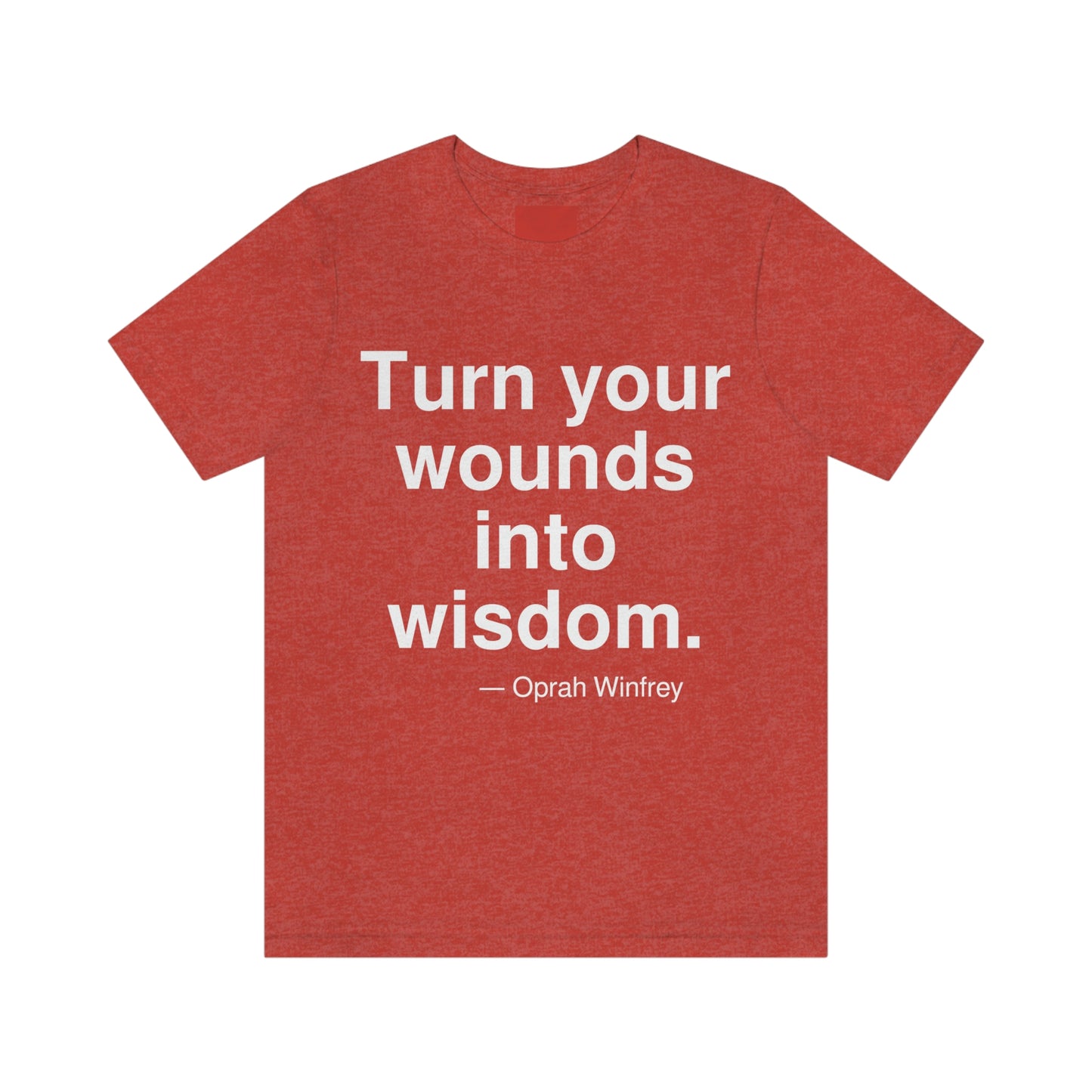 Winfrey Wounds Aa adult t-shirt