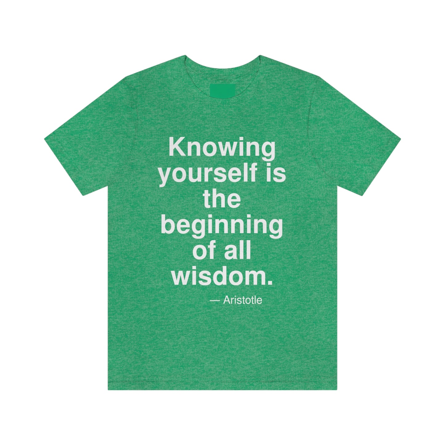 Aristotle Knowing Aa adult t-shirt