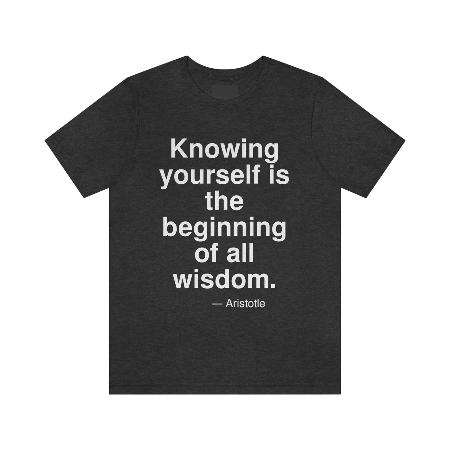 Aristotle Knowing Aa adult t-shirt