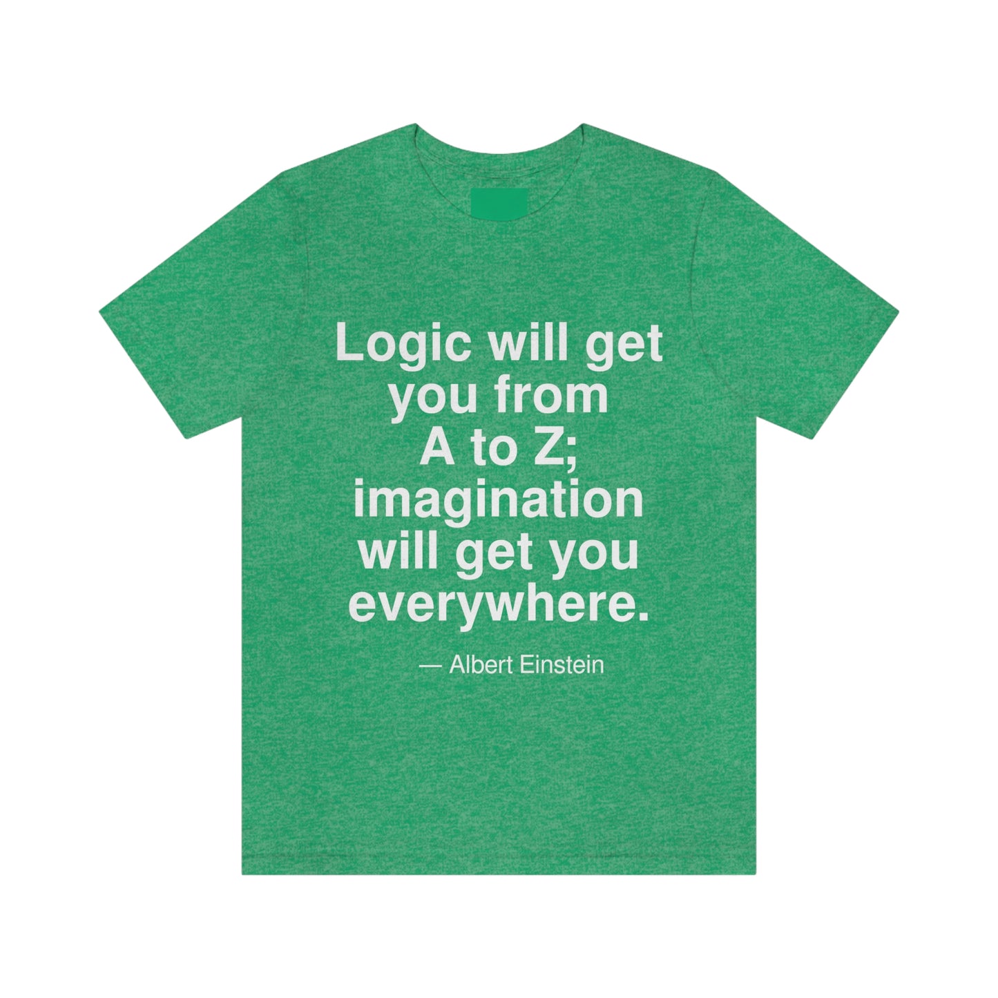 Einstein Logic Aa adult t-shirt