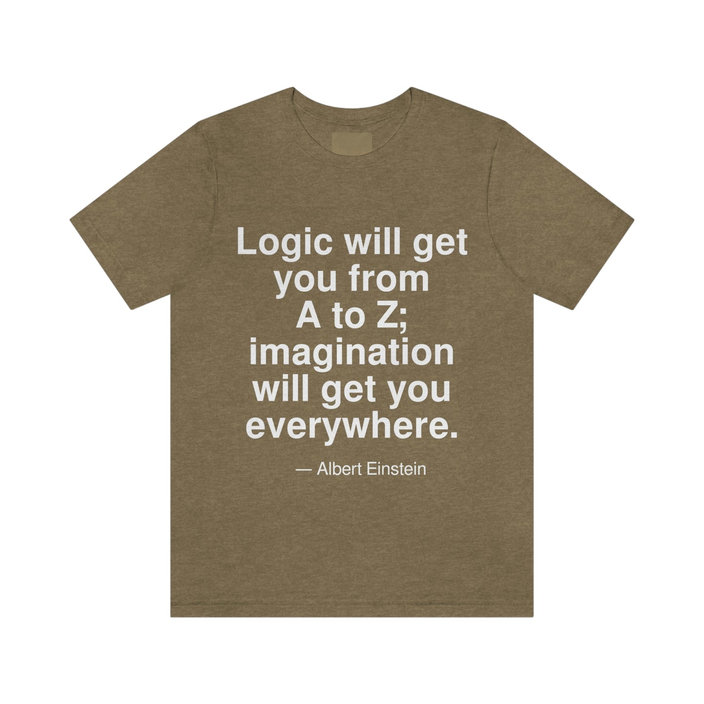 Einstein Logic Aa adult t-shirt