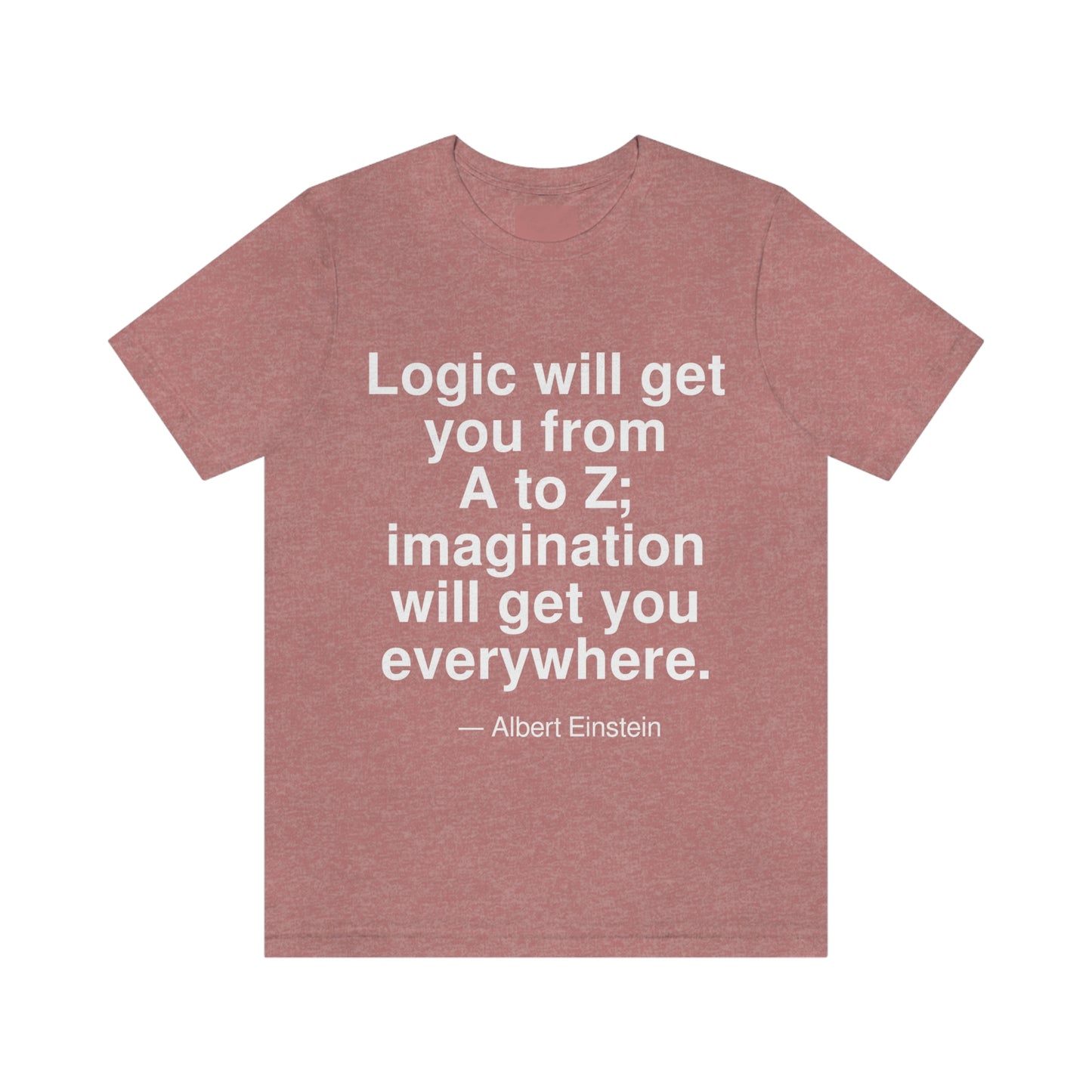 Einstein Logic Aa adult t-shirt