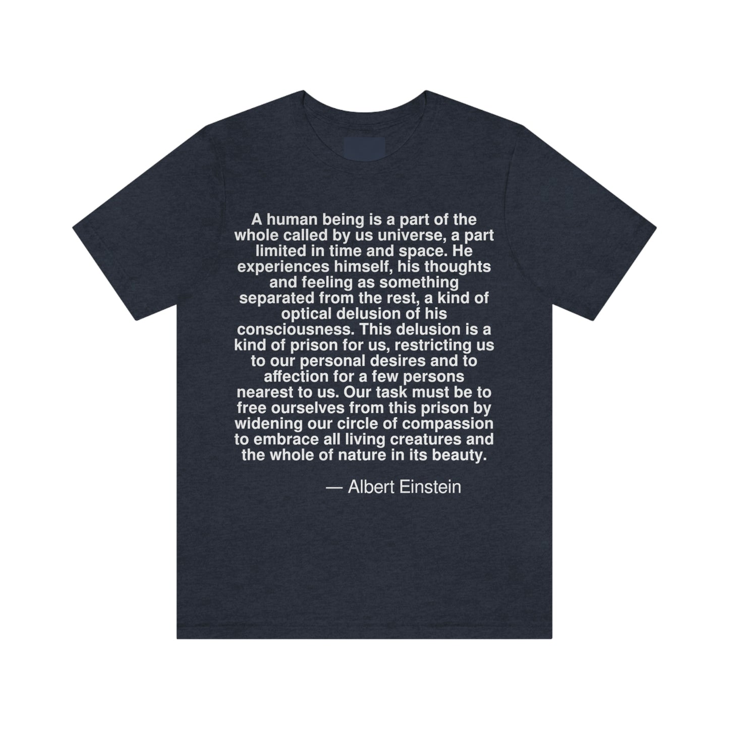 Einstein Delusion Aa adult t-shirt