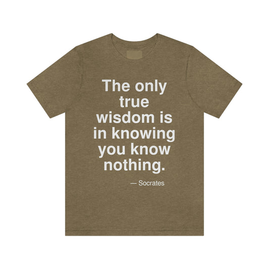 The only true wisdom is in knowing you know nothing. -- Socrates. Adult premium quality t-shirt