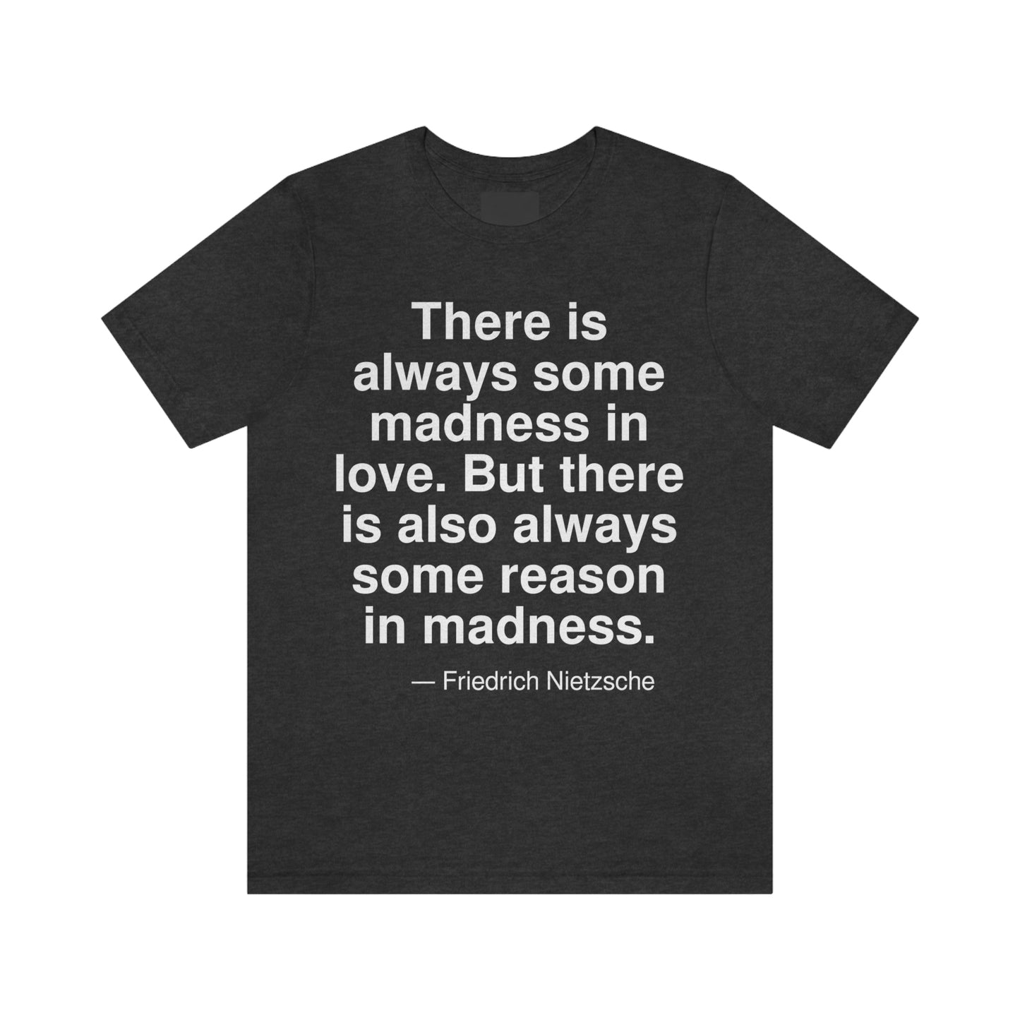 Nietzsche Madness Aa adult t-shirt