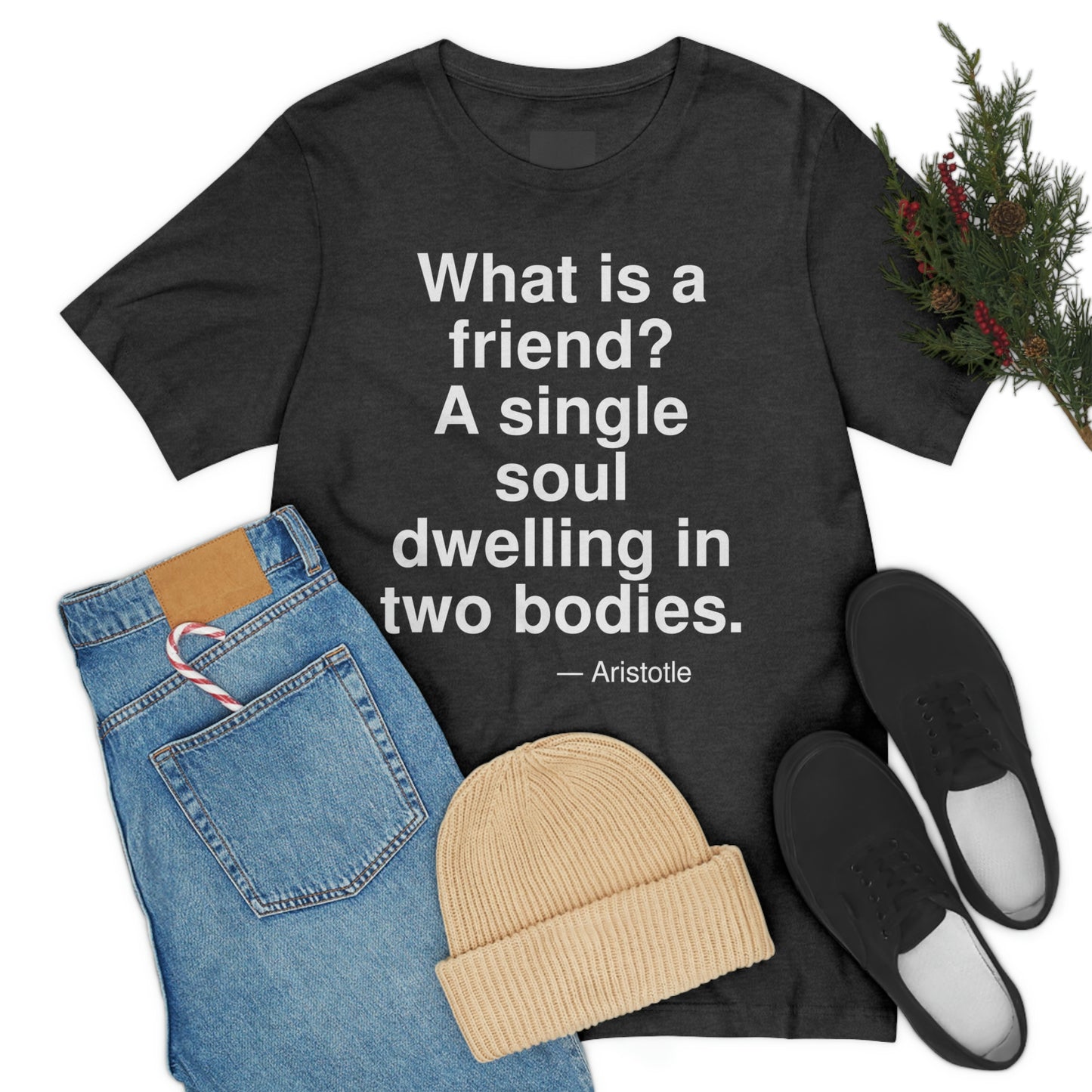 Aristotle Friend Aa adult t-shirt