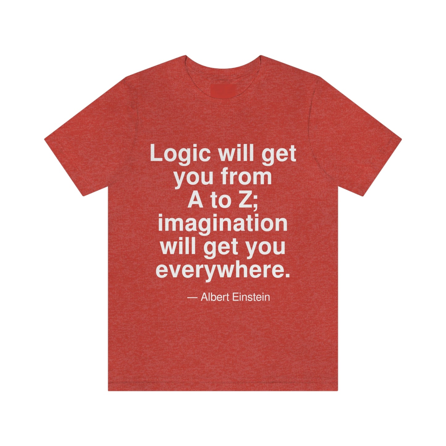 Einstein Logic Aa adult t-shirt