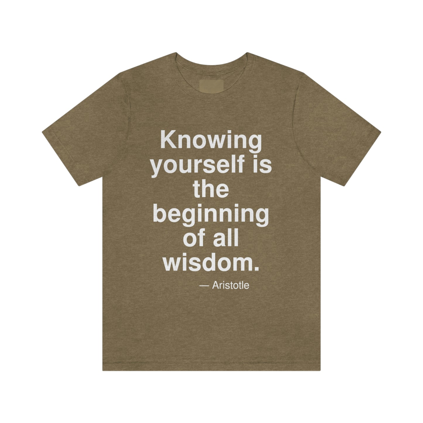 Aristotle Knowing Aa adult t-shirt