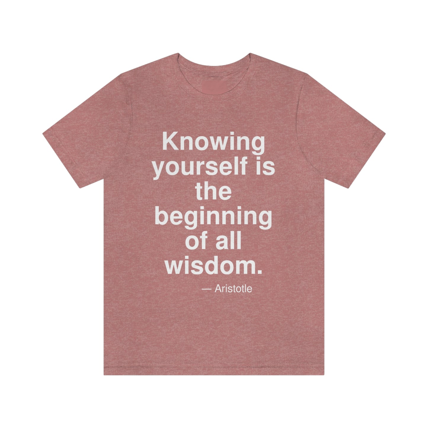 Aristotle Knowing Aa adult t-shirt