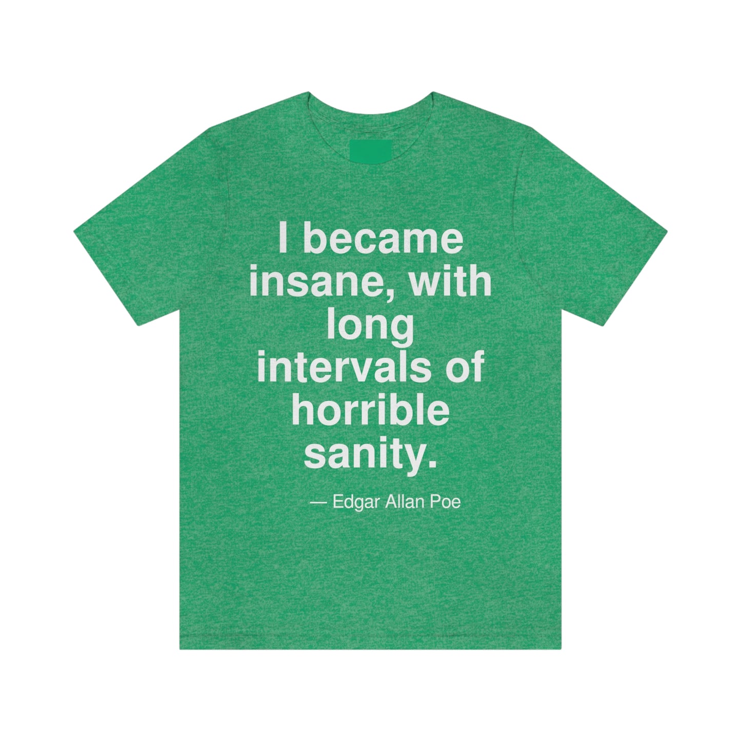 I became insane, with long intervals of horrible sanity. -- Edgar Allan Poe. Adult premium quality t-shirt